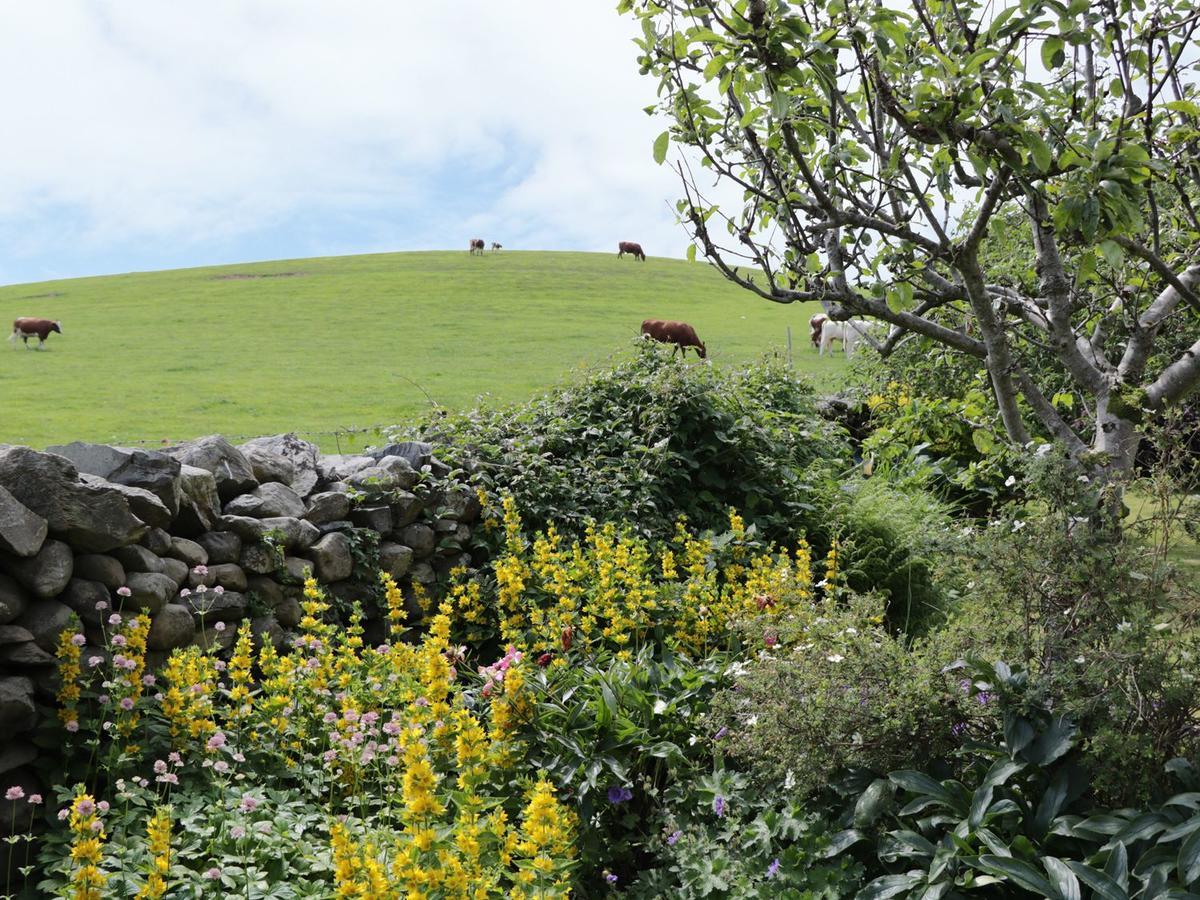 Waingate Cottage Cark 외부 사진